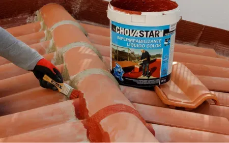 reparacionurgentedegoterasyfiltracionesenlugones 455w